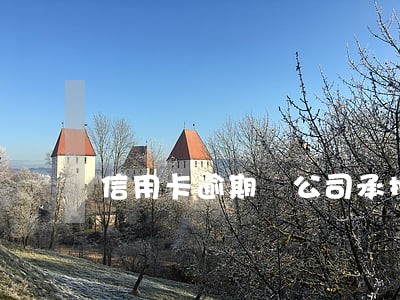 信用卡逾期 公司承担 信用卡逾期 公司承担